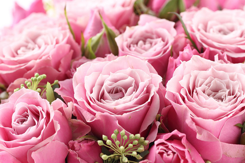 お見舞いにはプリザーブドフラワーがおすすめ 贈るメリットと事前に知っておきたい注意点 花と笑顔を暮らしのそばに はなのわ