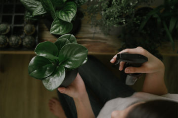 室内でおしゃれに植物を育てたい！フラワースタンドを使ったワンランク上のディスプレイ