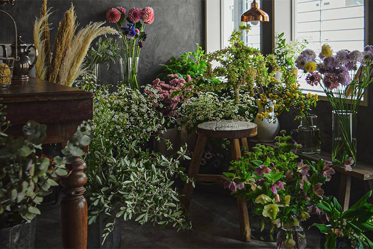 Germer 花束 東京都 花と笑顔を暮らしのそばに はなのわ