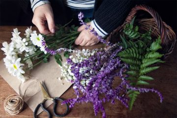 紫陽花をドライフラワーにして飾ろう！おすすめの品種と作り方もご紹介