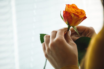 素敵な意味を持つ花を選ぼう！花言葉に「愛」が含まれている花は？