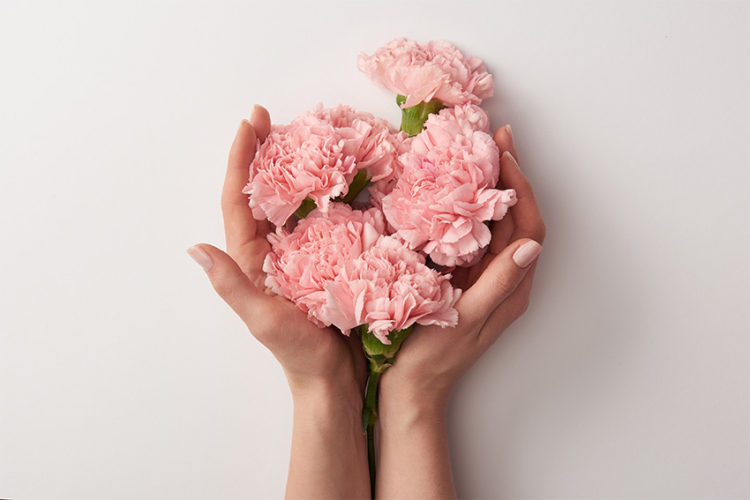 想いを込めて花を贈ろう！「感謝」という花言葉を持つ花をご紹介