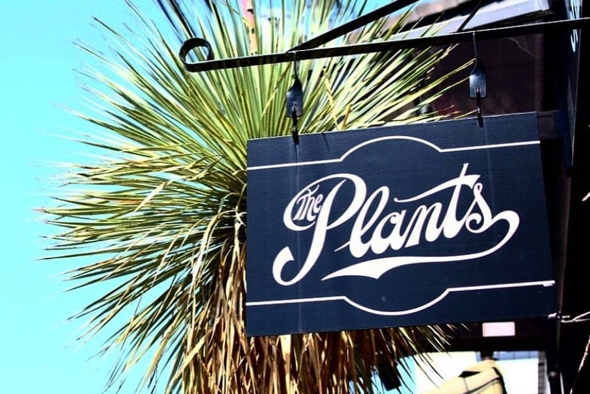 2018年に店名を現在の「The Plants」に変更しました