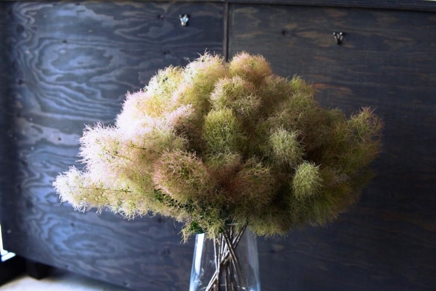 奈良ではお花だけではなく「枝もの」も人気