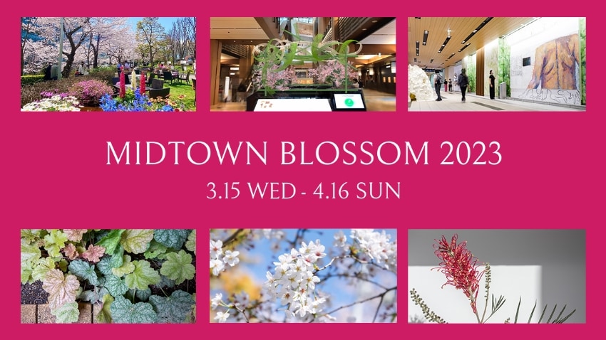 東京ミッドタウン「MIDTOWN BLOSSOM 2023」のご紹介<br>2023年3月15日(水) 〜 4月16日(日)